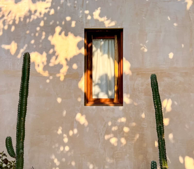 Casa-mariposa-ventana